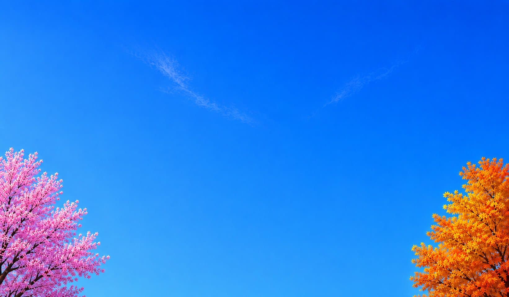 CTA background
